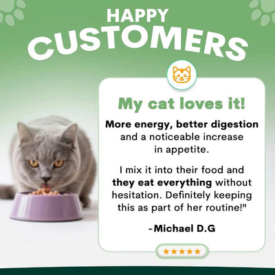 Petz Park Supplement For Cats | Probiotic