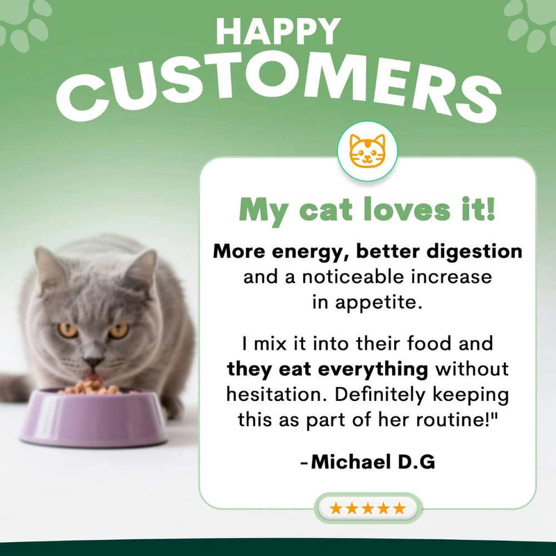 Petz Park Supplement For Cats | Probiotic