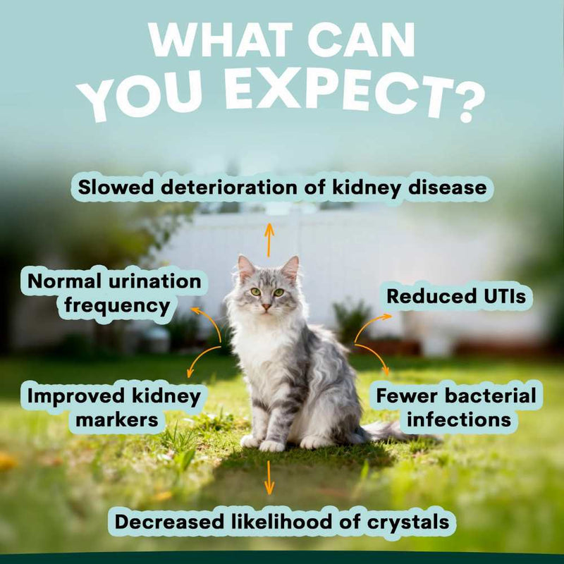 Petz Park Supplement For Cats | Urinary + Kidney