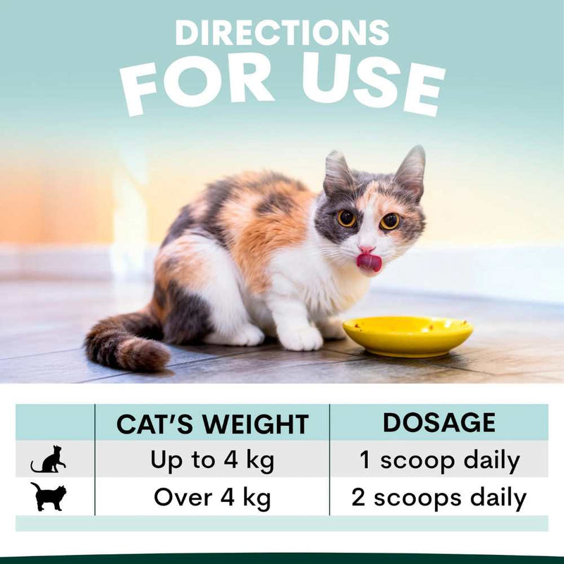 Petz Park Supplement For Cats | Urinary + Kidney