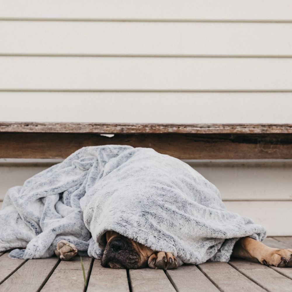 T&S Pet Blanket, Moonlight Grey