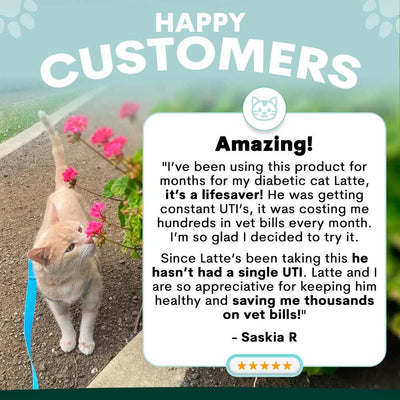 Petz Park Supplement For Cats | Urinary + Kidney