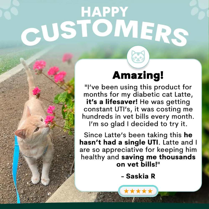 Petz Park Supplement For Cats | Urinary + Kidney