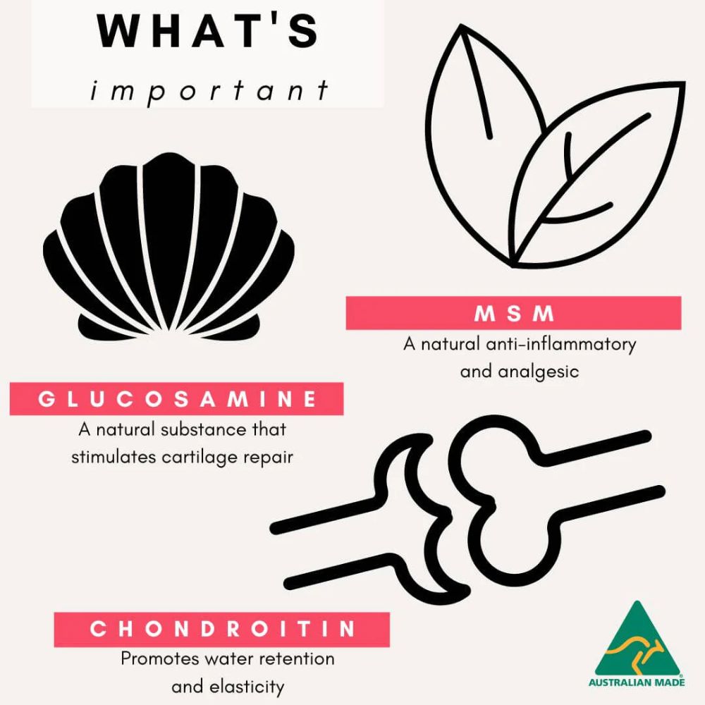 Petz Park Supplement For Dogs | Hip + Joint