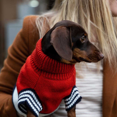 Emerson Knitted Dog Jumper