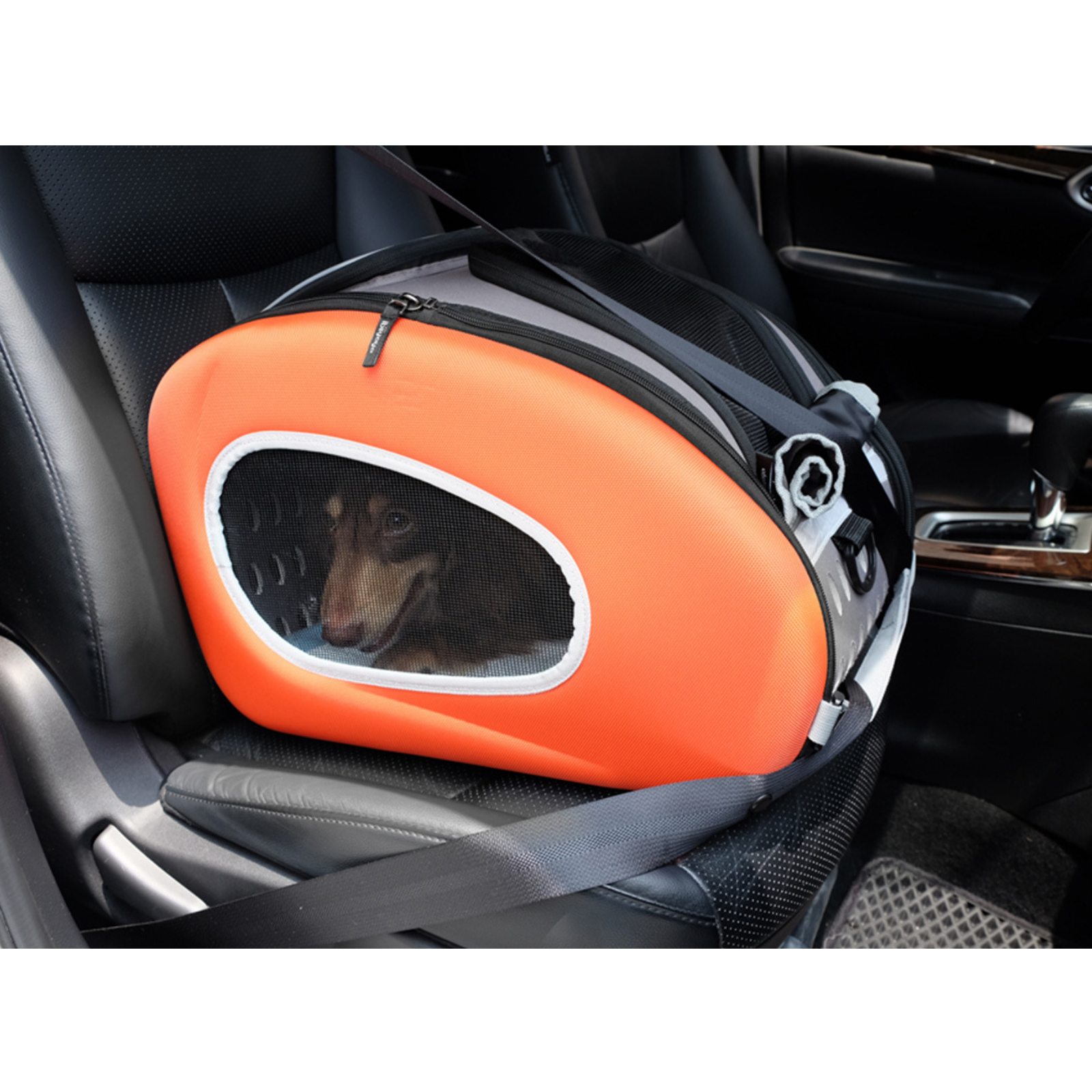 Ibiyaya EVA 4-in-1 Combo Pet Carrier on Wheels, Tangerine