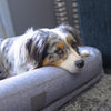 T&S Bolster Dog Lounge, Steel Grey