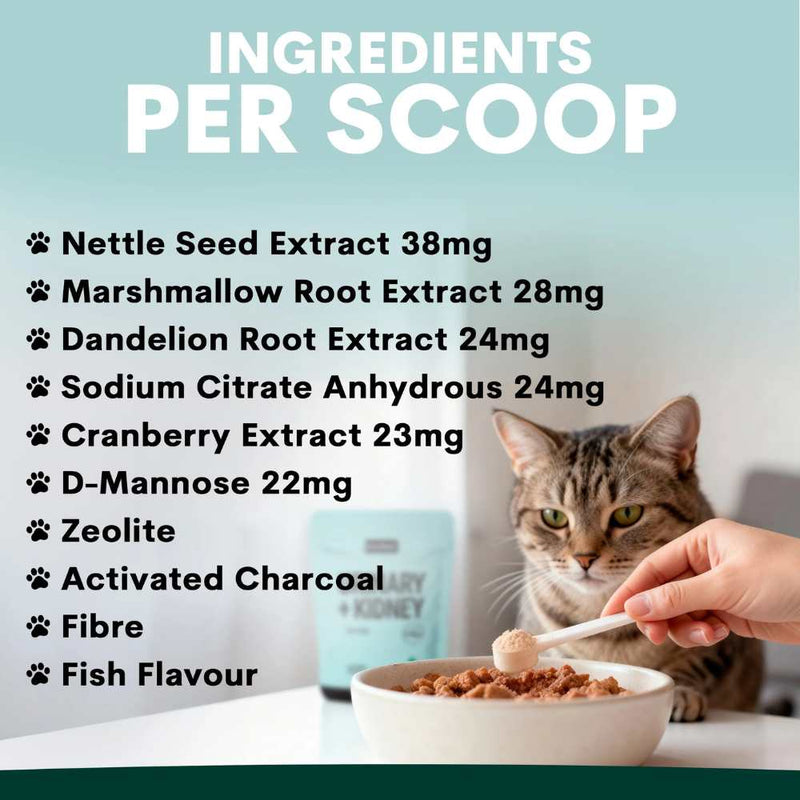 Petz Park Supplement For Cats | Urinary + Kidney