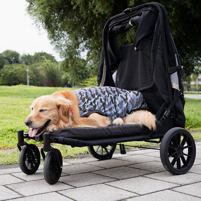 Ibiyaya Grand Cruiser Large Dog Stroller