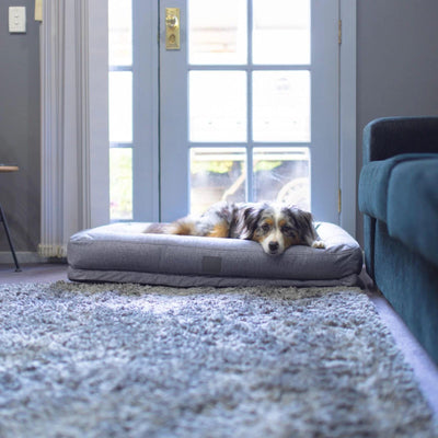 T&S Bolster Dog Lounge, Steel Grey