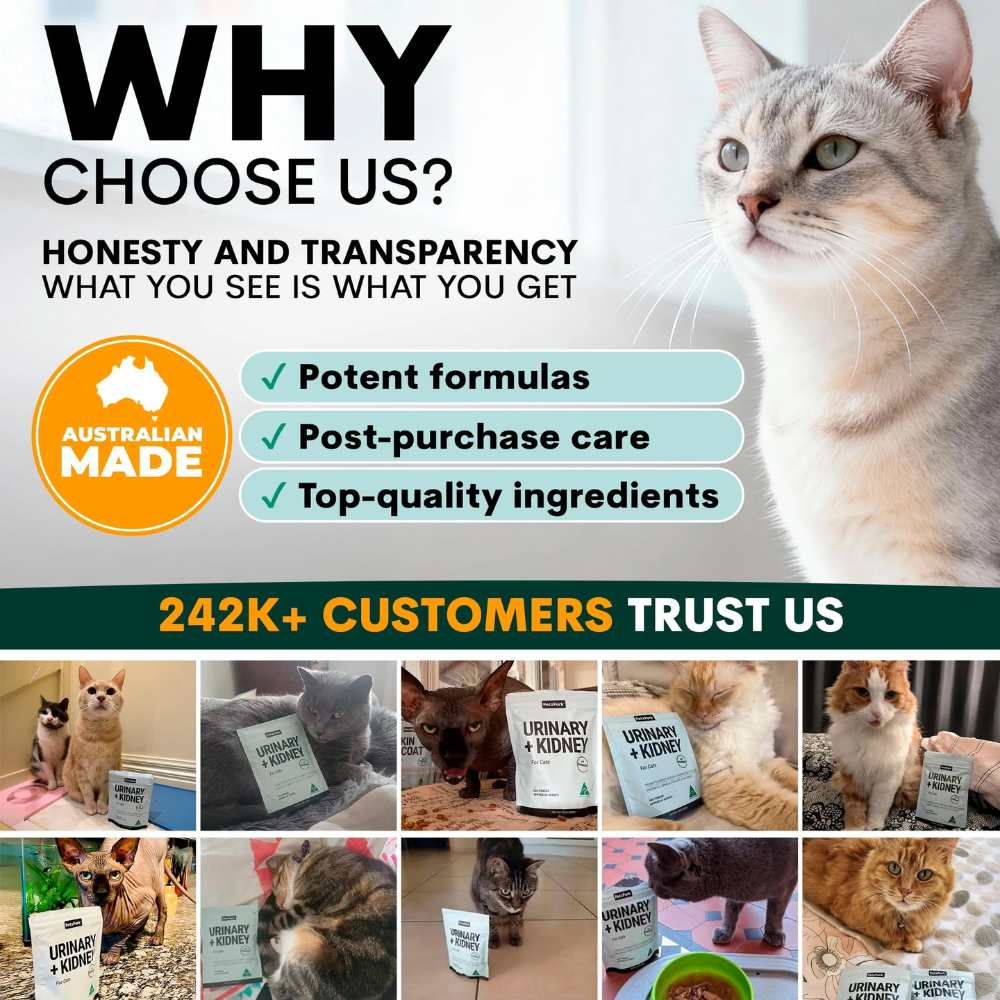 Petz Park Supplement For Cats | Urinary + Kidney