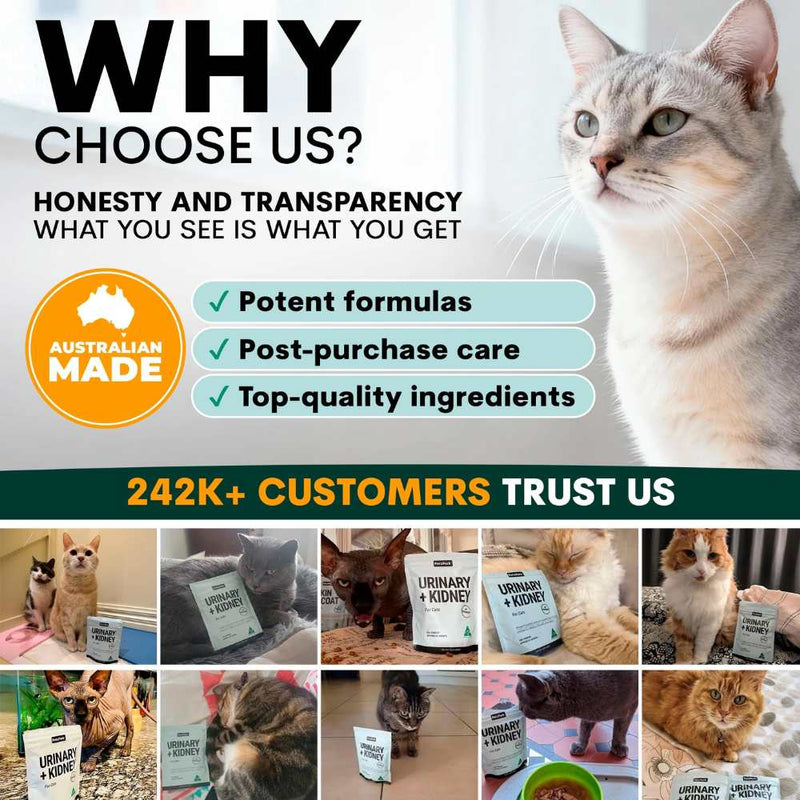 Petz Park Supplement For Cats | Urinary + Kidney
