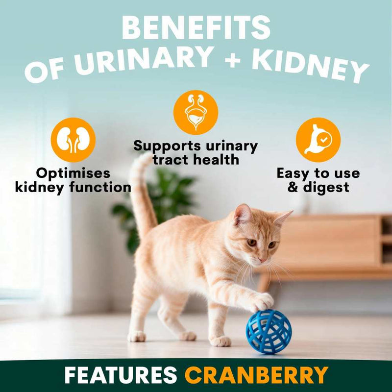 Petz Park Supplement For Cats | Urinary + Kidney