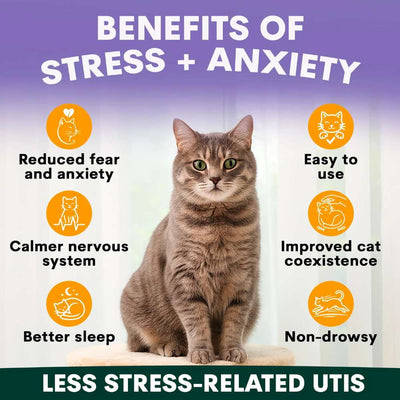 Petz Park Supplement For Cats | Stress + Anxiety