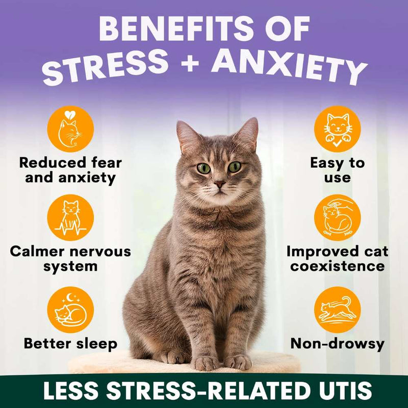 Petz Park Supplement For Cats | Stress + Anxiety