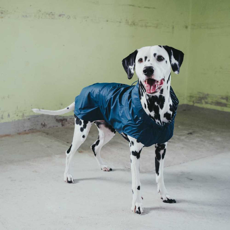 Hunter Milford Raincoat for Dogs with Harness Opening, Blue