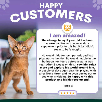 Petz Park Supplement For Cats | Stress + Anxiety