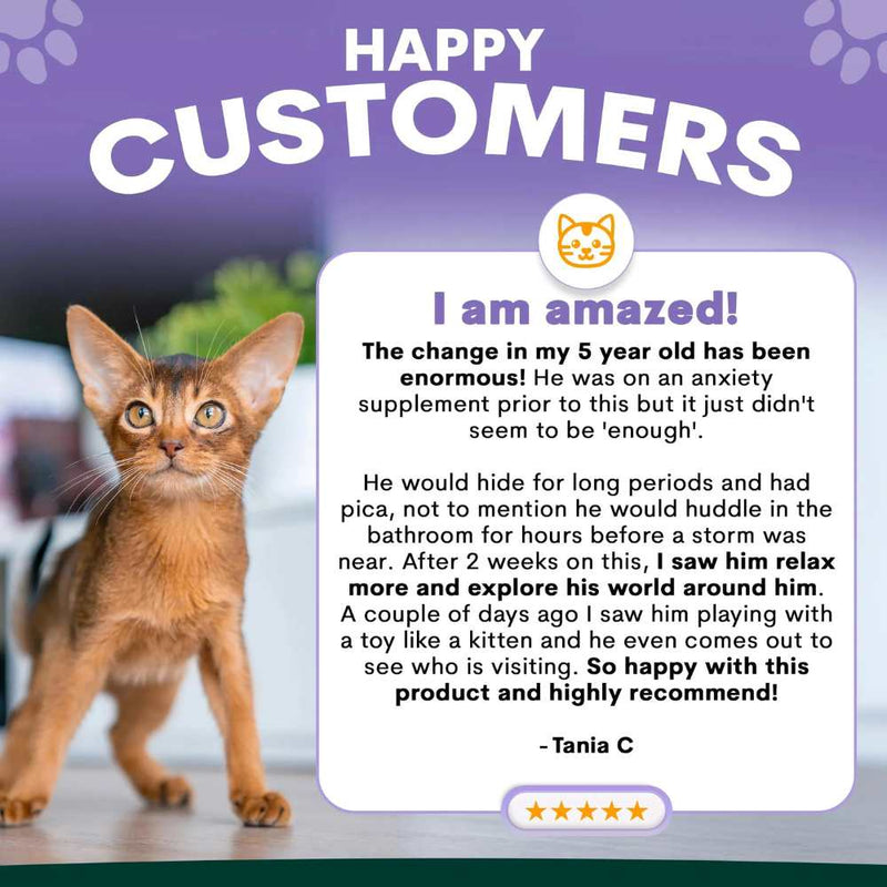 Petz Park Supplement For Cats | Stress + Anxiety