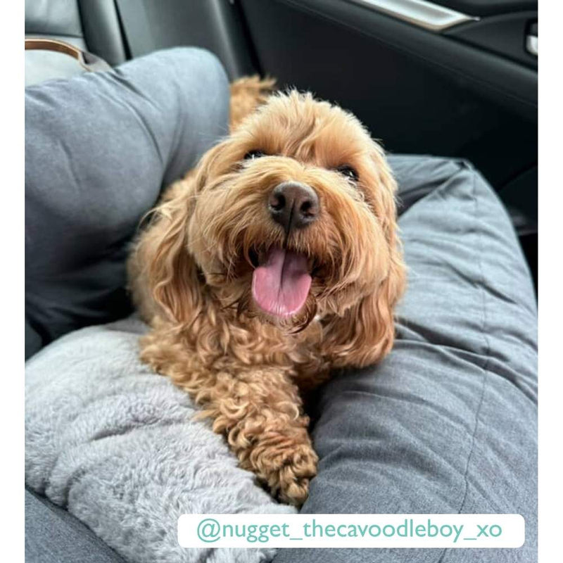 Premium Dog Booster Seat | Medium
