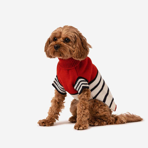 Knitted Dog Jumpers