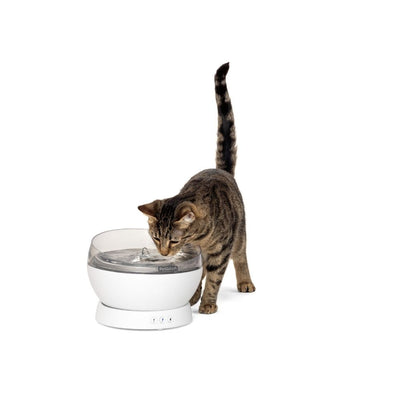 PetSafe HydroSphere 1.7L Cordless Pet Fountain