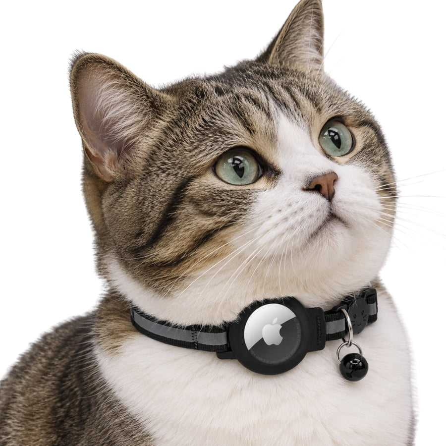 Cat Collar with Airtag Holder