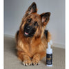 Essential Dog Portable Paw Cleaner