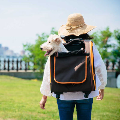 Ibiyaya Liso Backpack Trolley Pet Carrier on Wheels, Brown Orange
