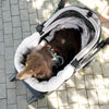 Ibiyaya All Season Pet Stroller Cushion Set, Thames Green