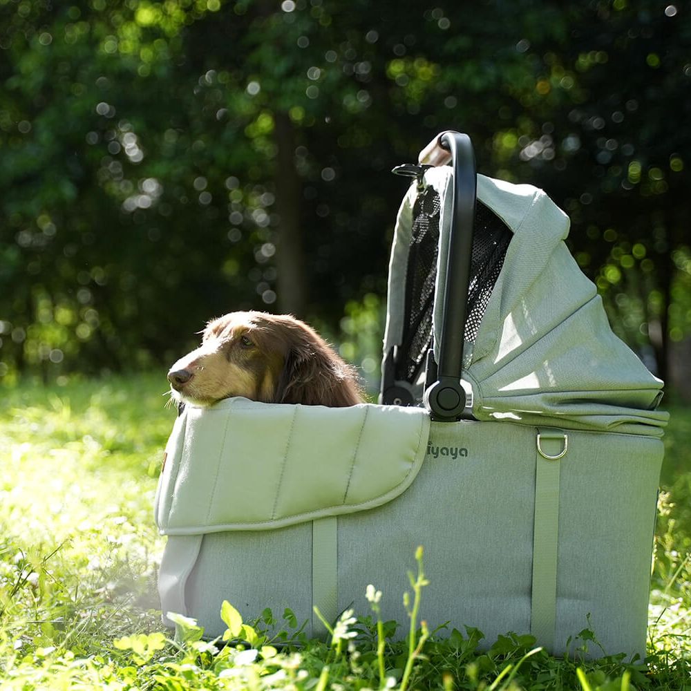 Ibiyaya All Season Pet Stroller Cushion Set, Thames Green