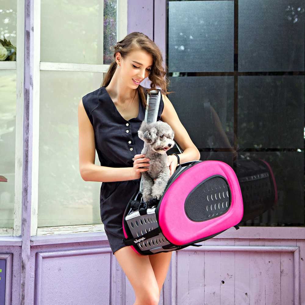 Ibiyaya EVA 5-in-1 Combo Pet Carrier, Pram & Backpack, Chocolate