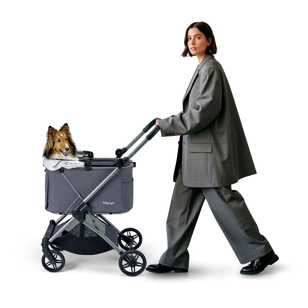 Ibiyaya Maxi Deep Carriage Pet Stroller, Twin Grey