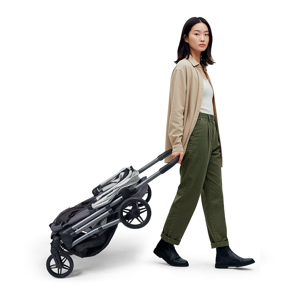 Ibiyaya Maxi Deep Carriage Pet Stroller, Twin Grey