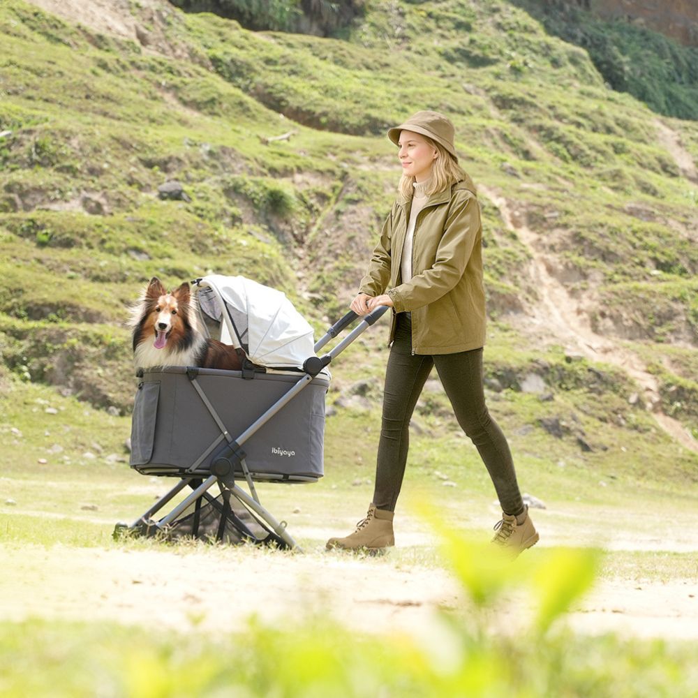 Ibiyaya Maxi Deep Carriage Pet Stroller, Twin Grey