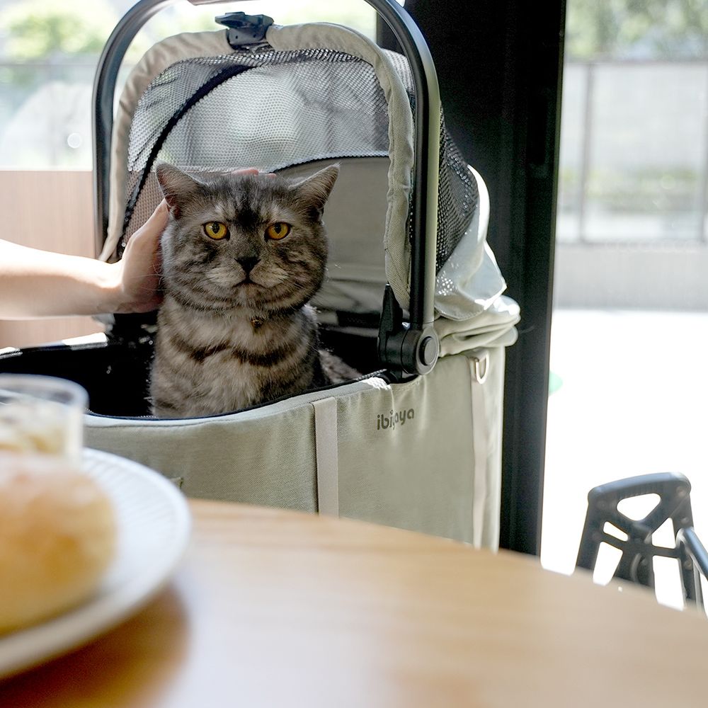 Ibiyaya Tinker Small Detachable Pet Stroller, Silver Grey