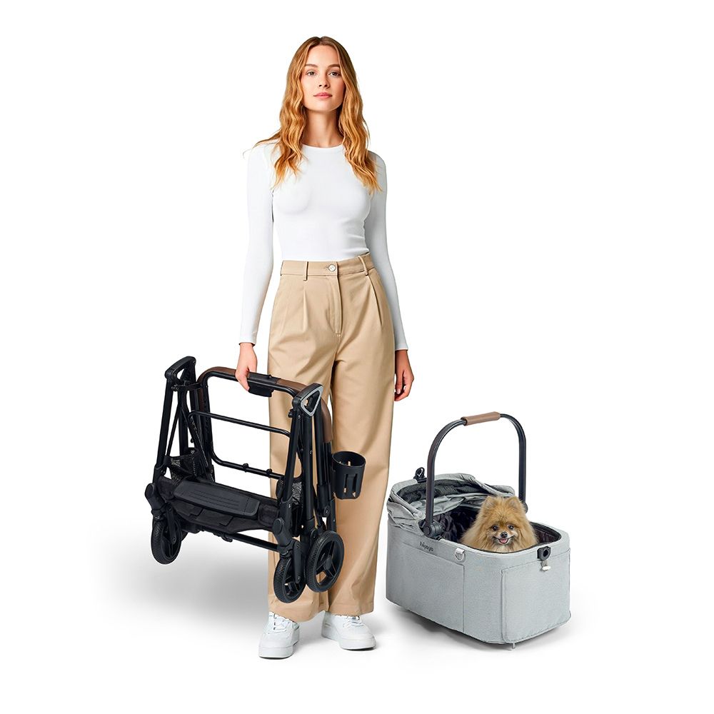 Ibiyaya Tinker Small Detachable Pet Stroller, Sage Green