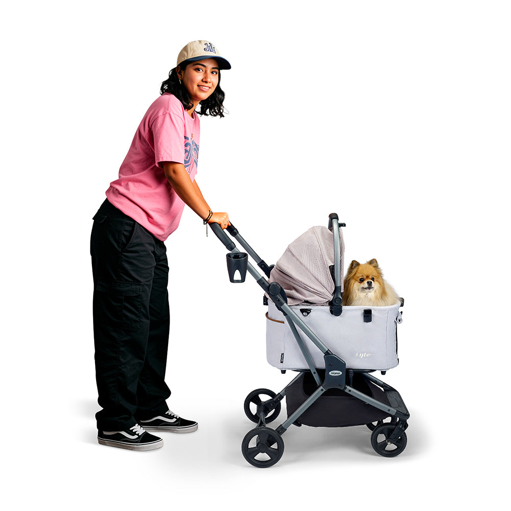 Ibiyaya Lyte 3-in-1 Detachable Pet Stroller, Dusty Apricot