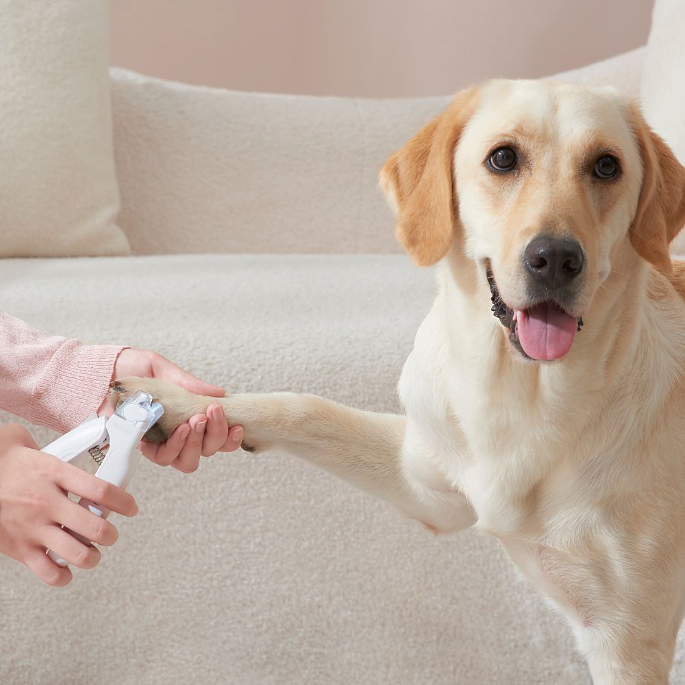 Michu LED Pet Nail Clipper