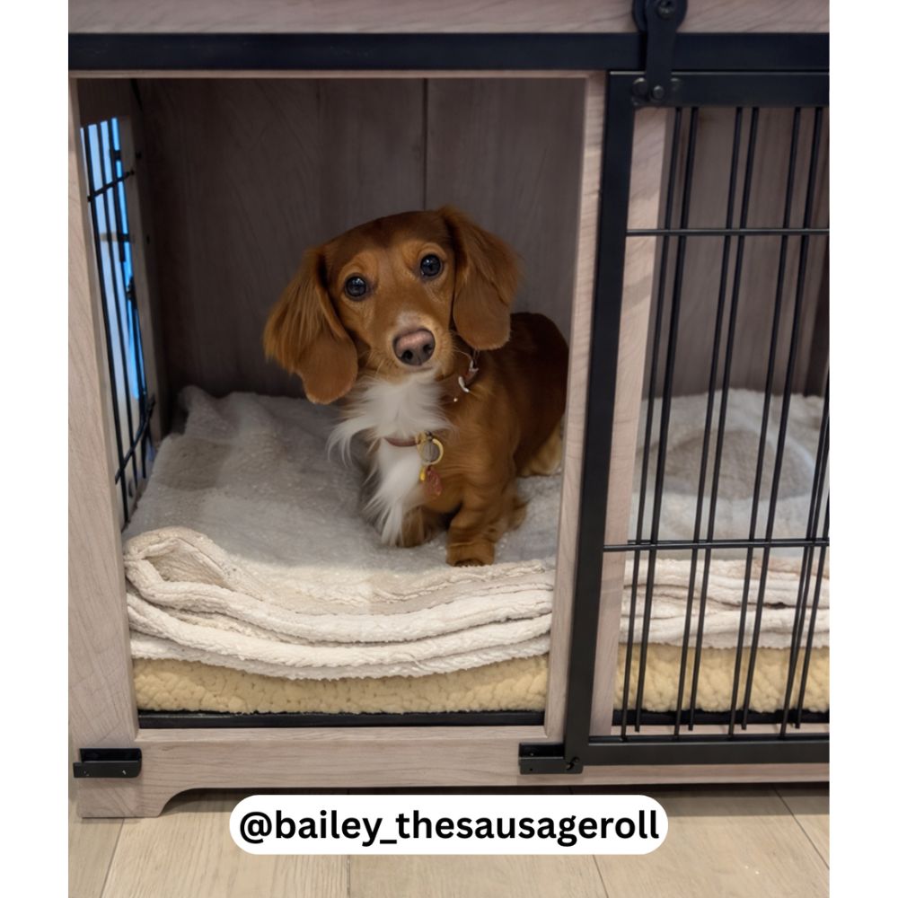Sliding Door Wooden Dog Crate, Weathered Oak