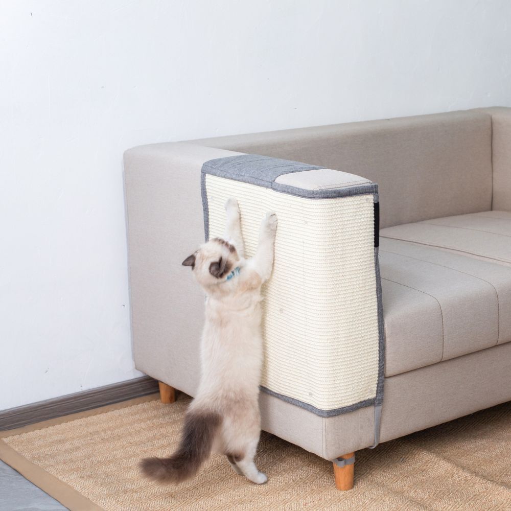 Cat Couch Freemale Cat Scratch Mat Couch Furniture