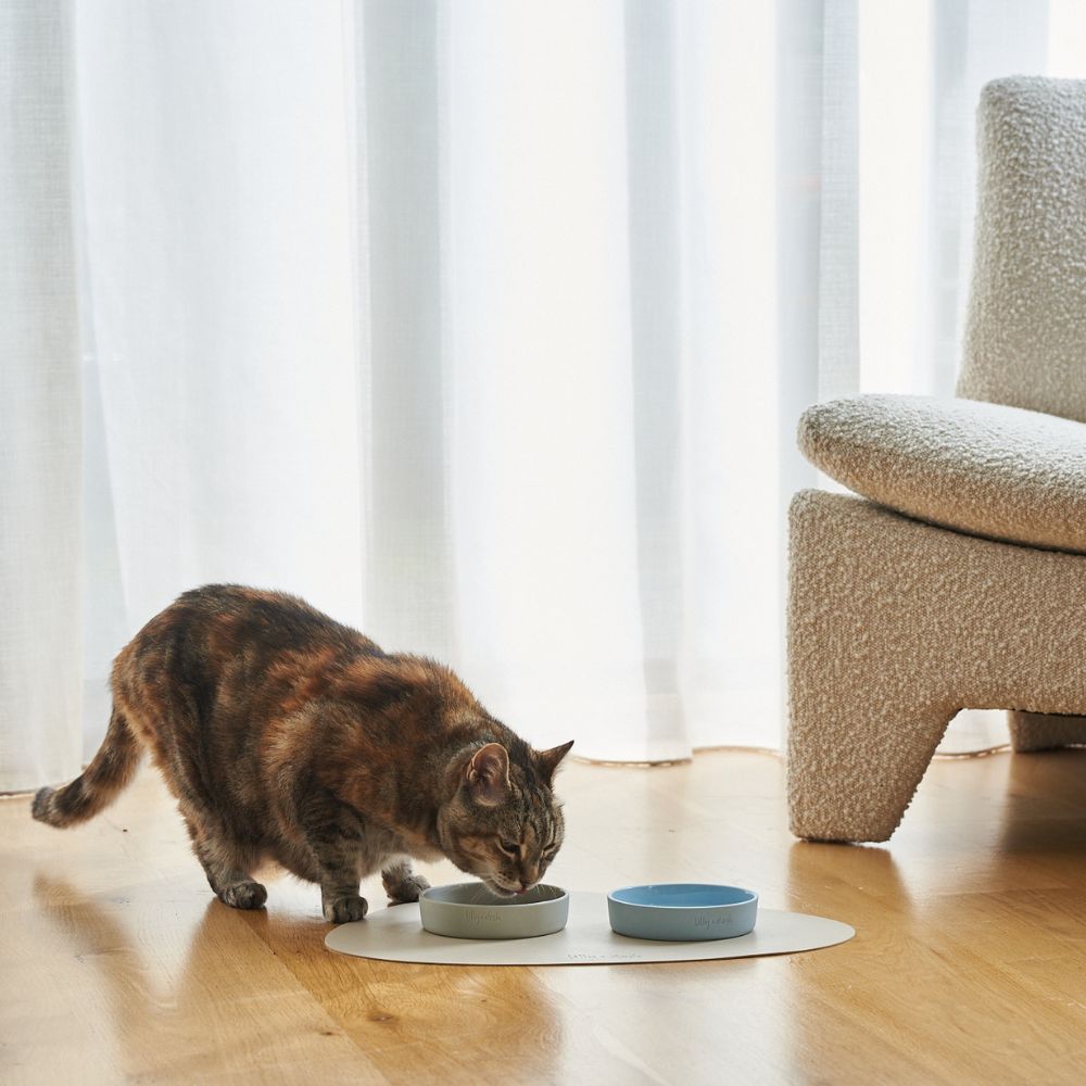 Pet Feeding Mat, Slate