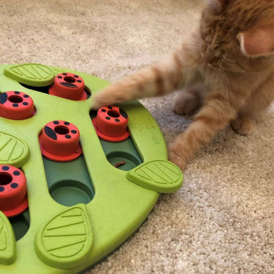 Nina Ottosson Buggin' Out Puzzle Feeder for Cats
