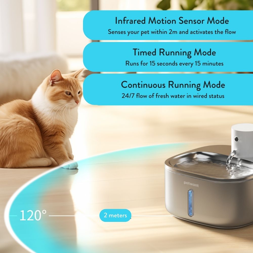 Stainless Steel Motion Sensor Cat Fountain Cordless Sensor Pet