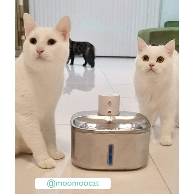 Cordless Sensor Pet Water Fountain, Stainless Steel