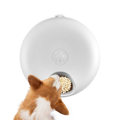 Petwant Automatic Wet Food Pet Feeder | 6 Meal