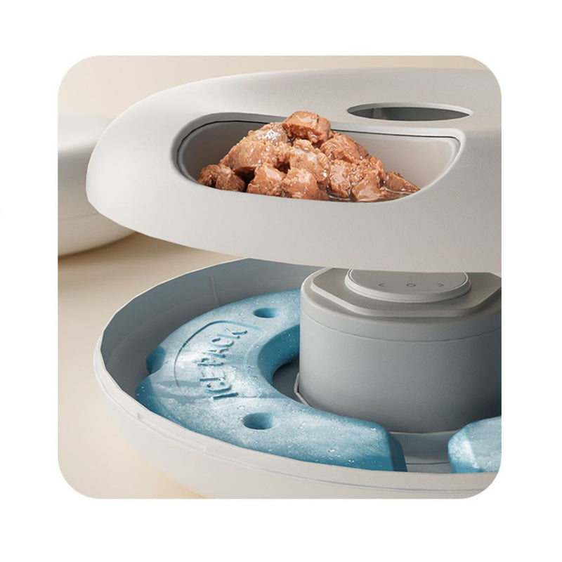 Petwant Automatic Wet Food Pet Feeder | 6 Meal