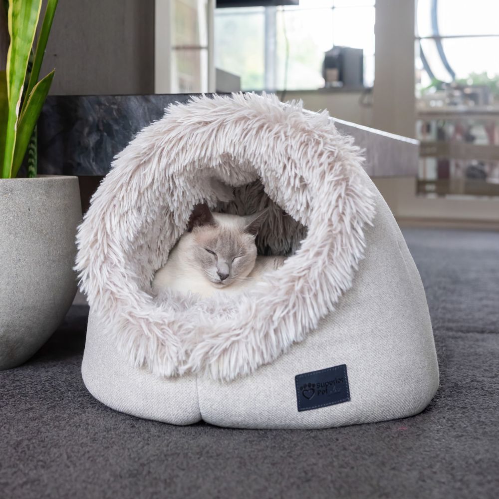 Calming Cat Dome, Aspen