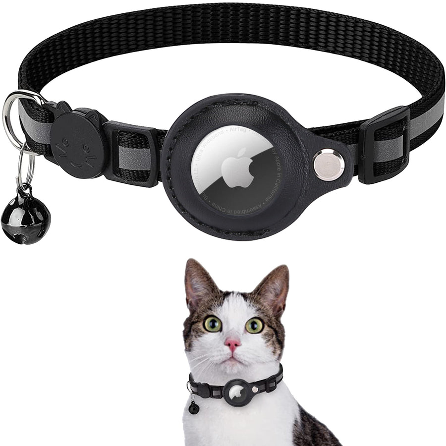 Buy cat collars online clearance
