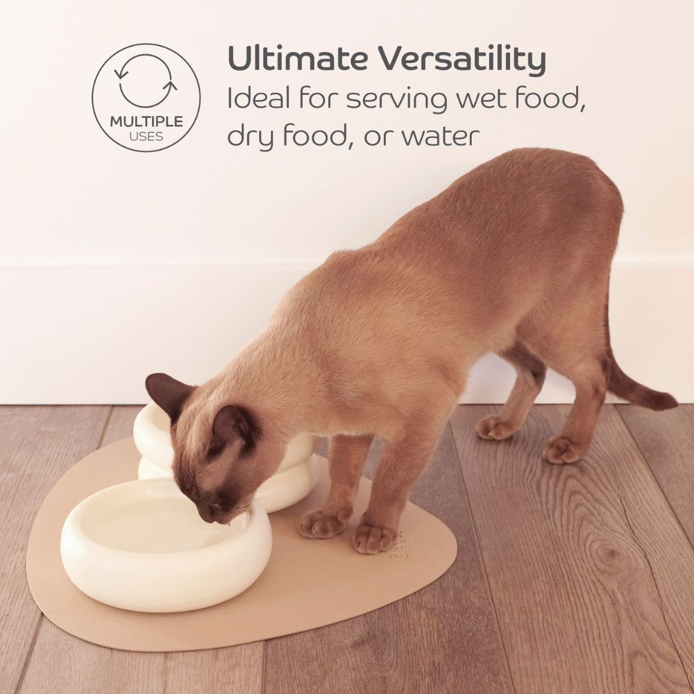 Ceramic Cat Dining Bowl - Standard