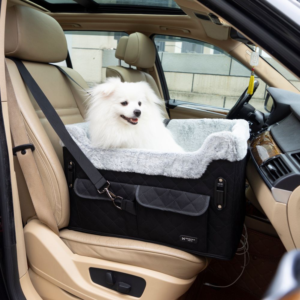Elevated Dog Car Seat Black | Medium